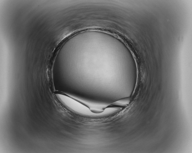 X0000086881497200704300926