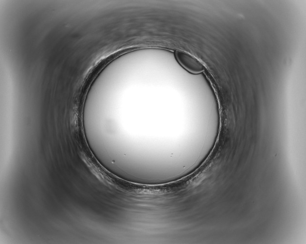 X0000086881499200704300926