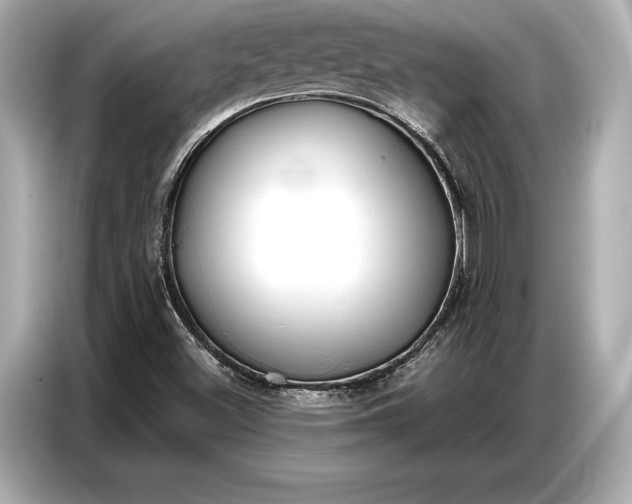 X0000086881500200704300926