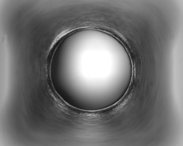 X0000086881501200704300926