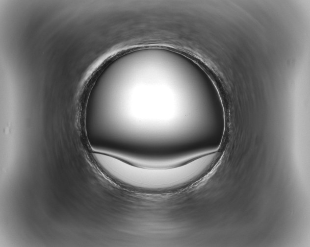 X0000086881502200704300926