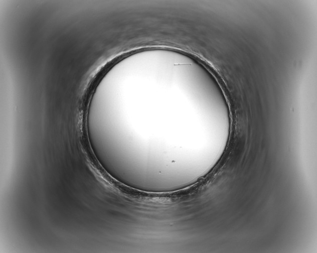 X0000086881503200704300926