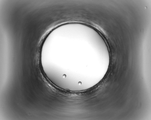 X0000086881504200704300926