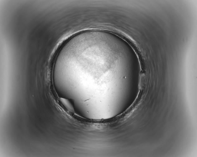 X0000086881506200704300926