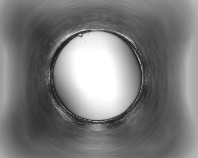 X0000086881507200704300926