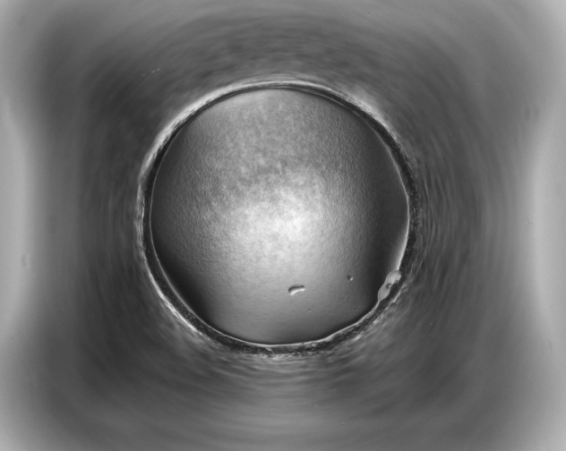 X0000086881508200704300926