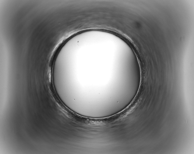 X0000086881509200704300926