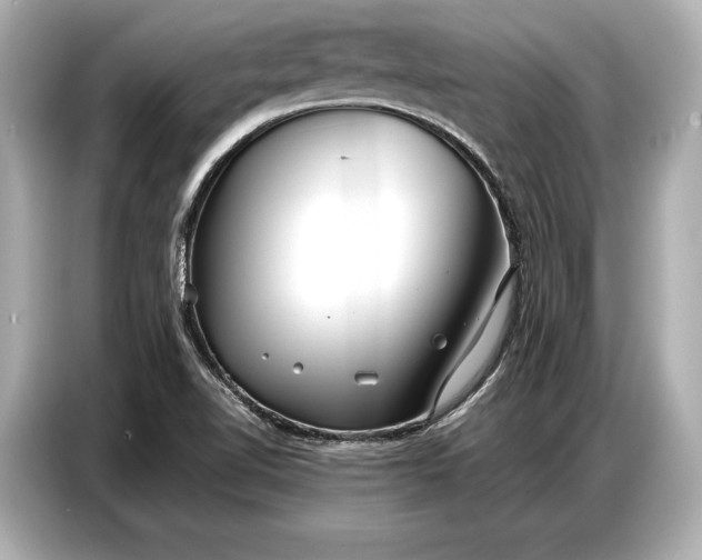 X0000086881510200704300926