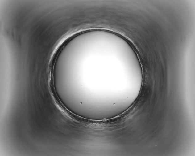 X0000086881511200704300926