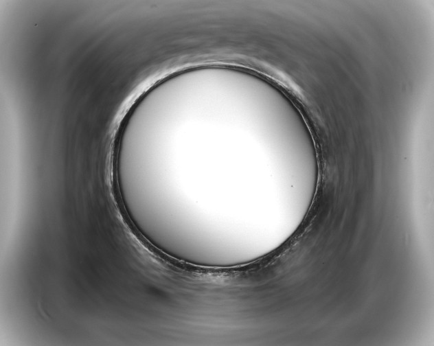 X0000086881512200704300926