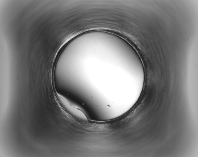 X0000086881513200704300926