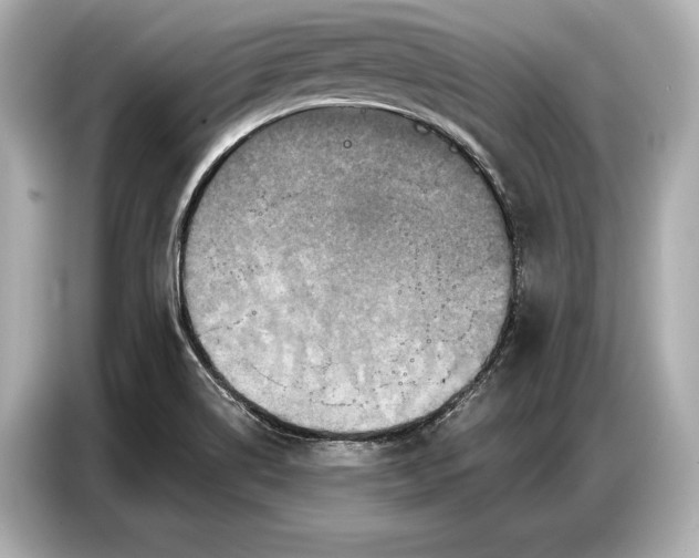 X0000086881514200704300926