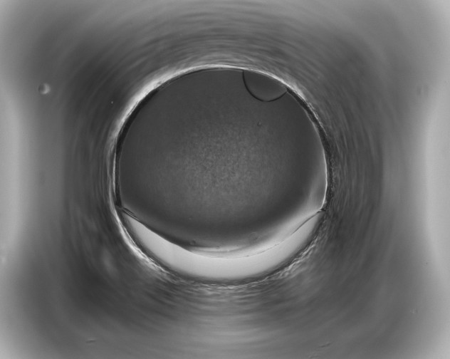 X0000086881515200704300926