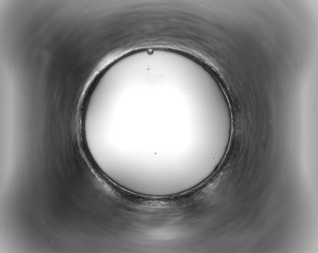 X0000086881517200704300926