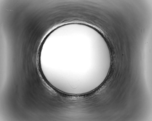 X0000086881518200704300926