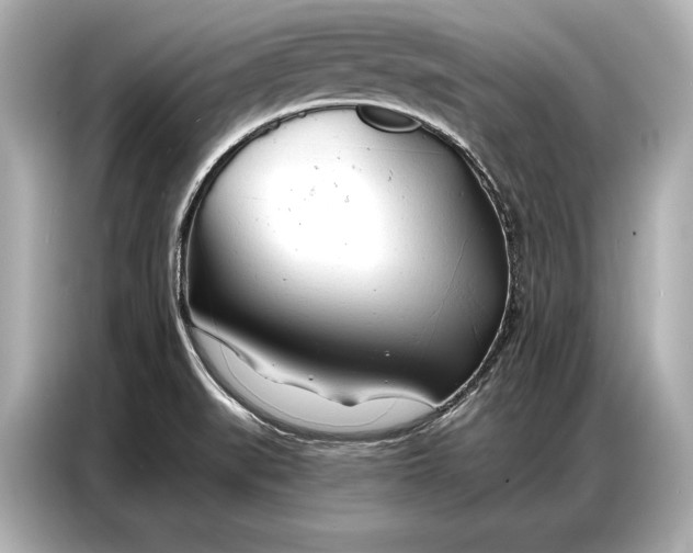 X0000086881519200704300926