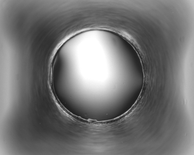 X0000086881520200704300926