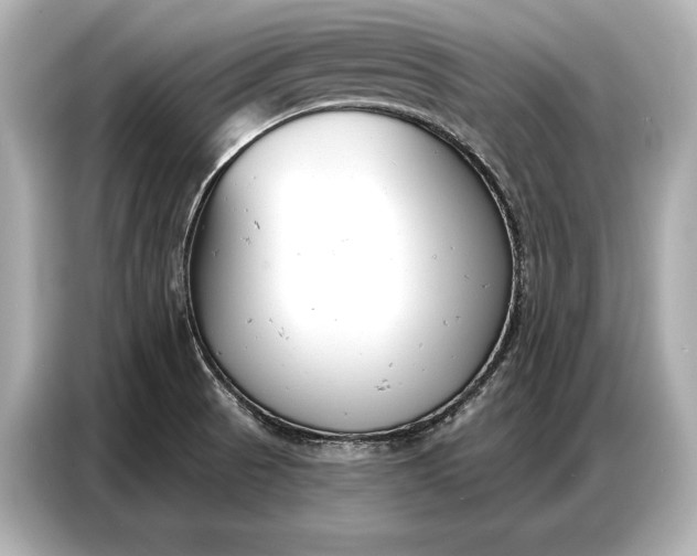 X0000086881521200704300927