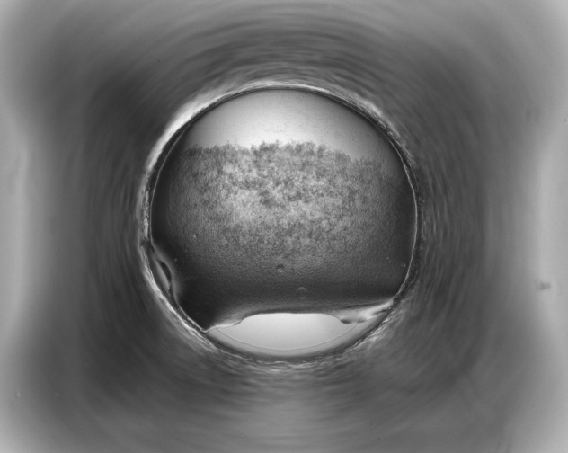 X0000086881522200704300927