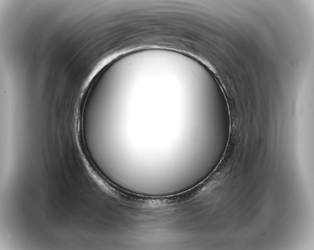 X0000086881523200704300927