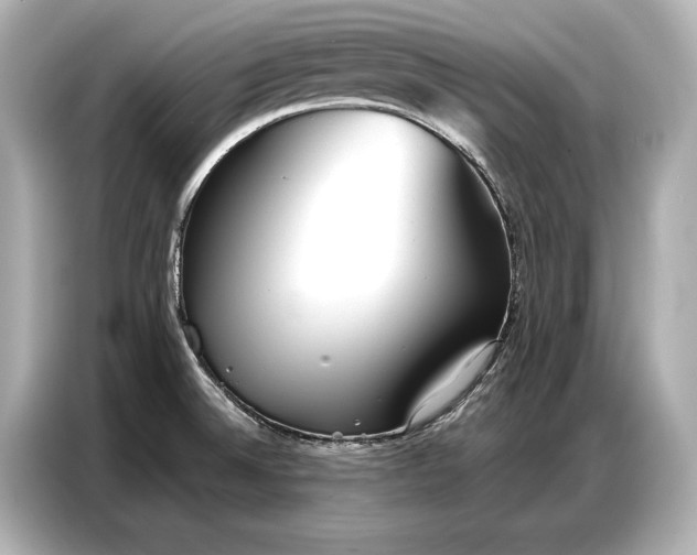 X0000086881524200704300927