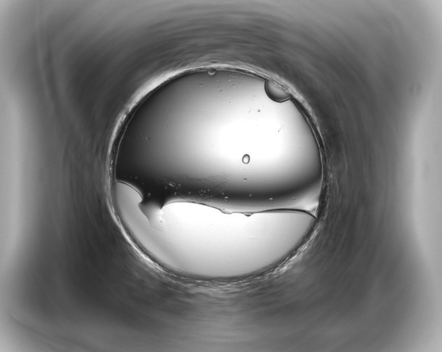 X0000086881525200704300927