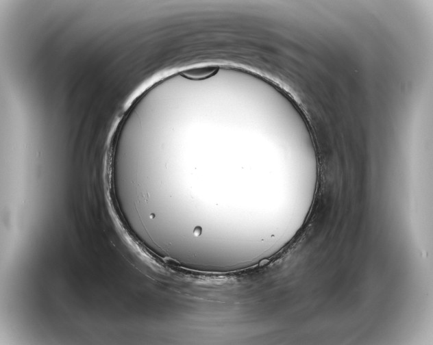 X0000086881526200704300927