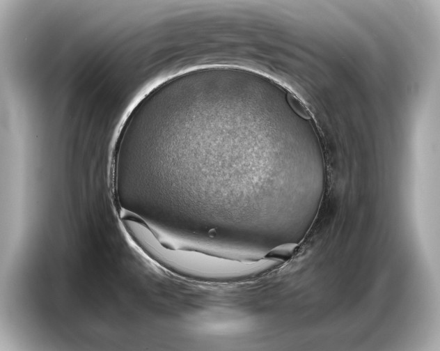 X0000086881527200704300927