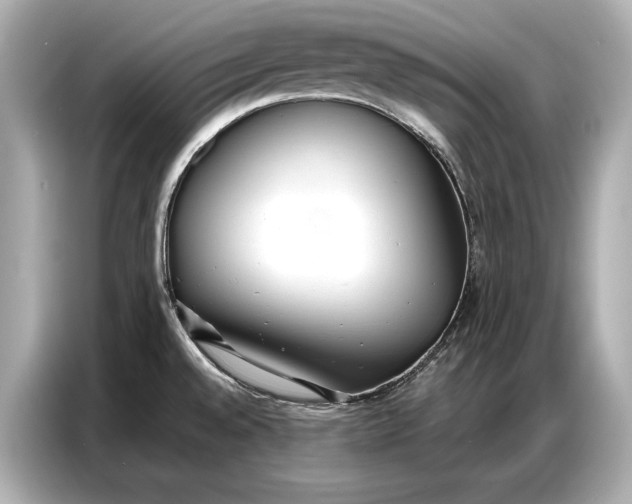 X0000086881528200704300927