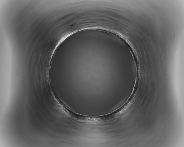 X0000086881529200704300927