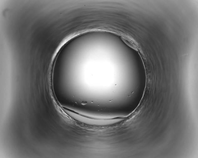 X0000086881530200704300927