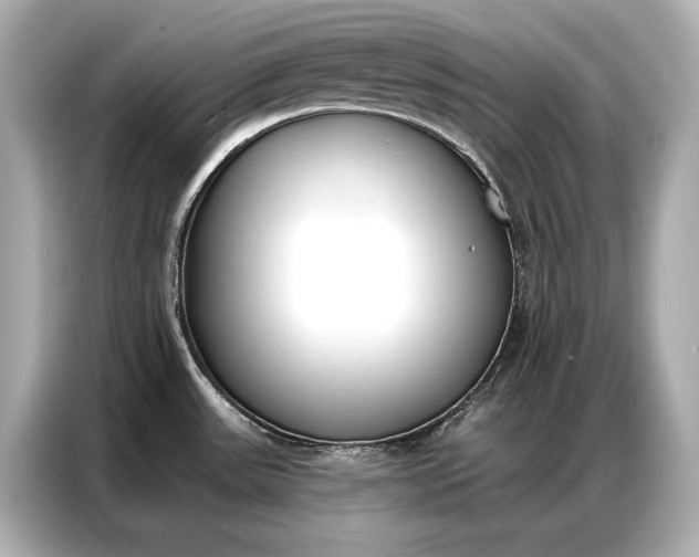 X0000086881531200704300927