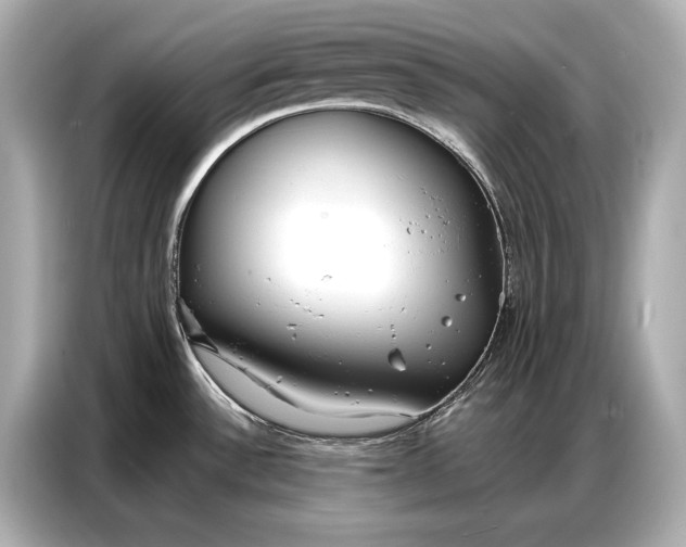 X0000086881532200704300927