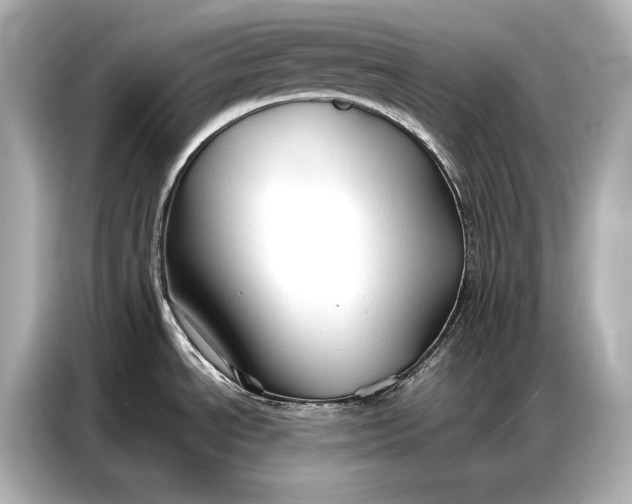 X0000086881534200704300927