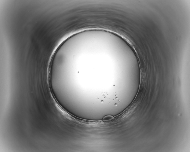 X0000086881535200704300927