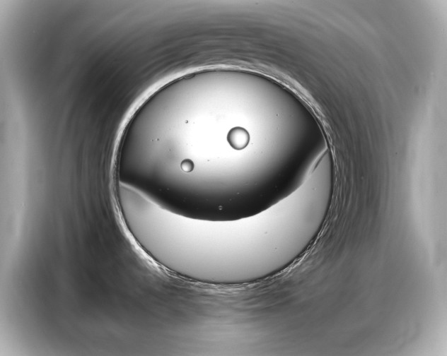 X0000086881536200704300927