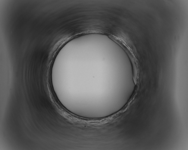 X0000086880001200705071212