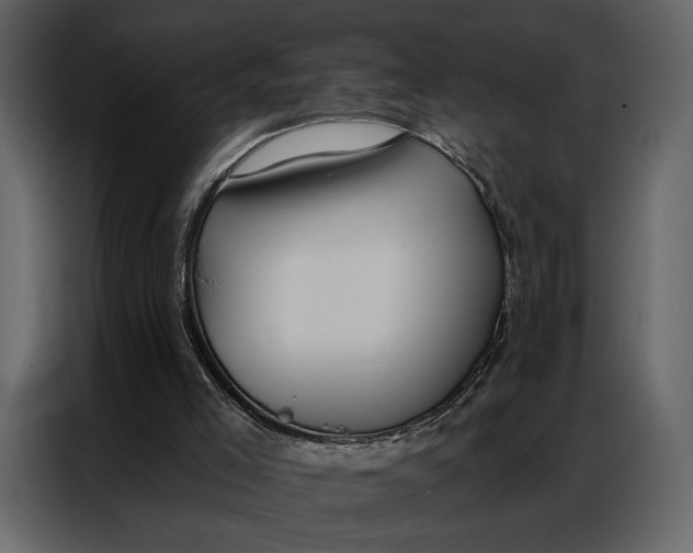 X0000086880005200705071212