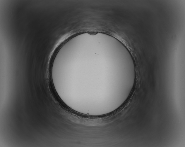 X0000086880008200705071212