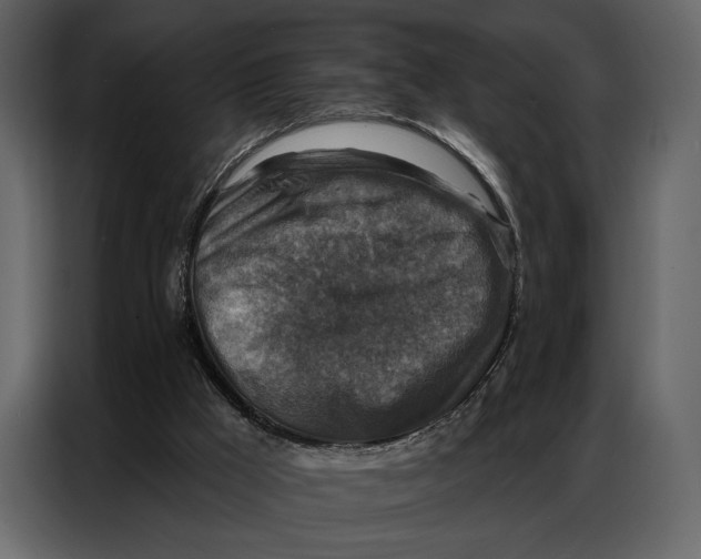 X0000086880009200705071212