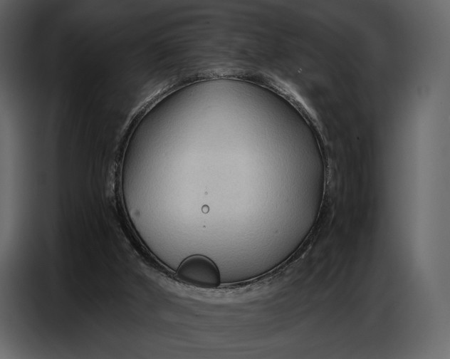 X0000086880010200705071212