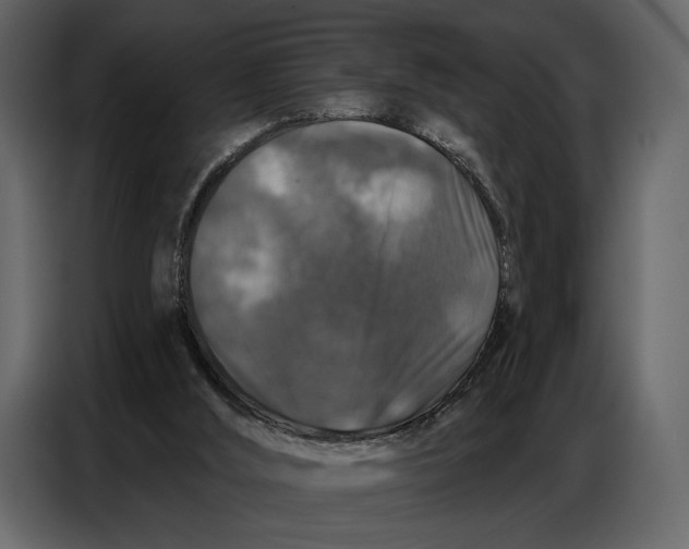 X0000086880012200705071212