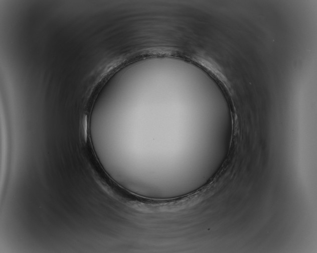 X0000086880013200705071212