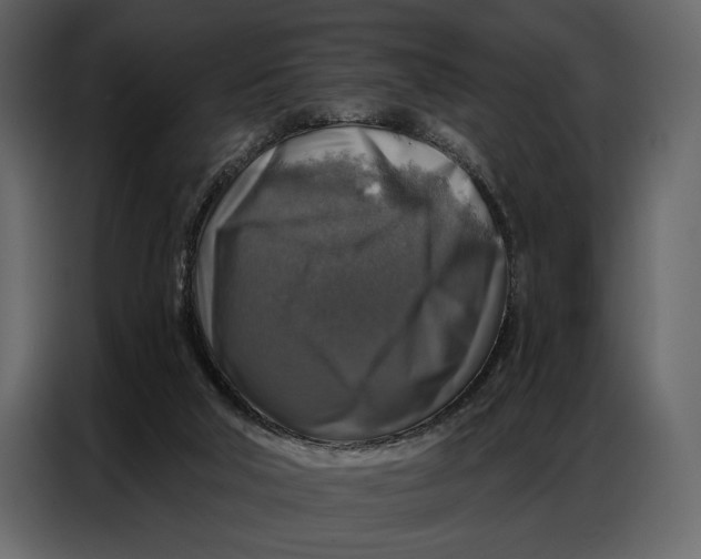 X0000086880018200705071211