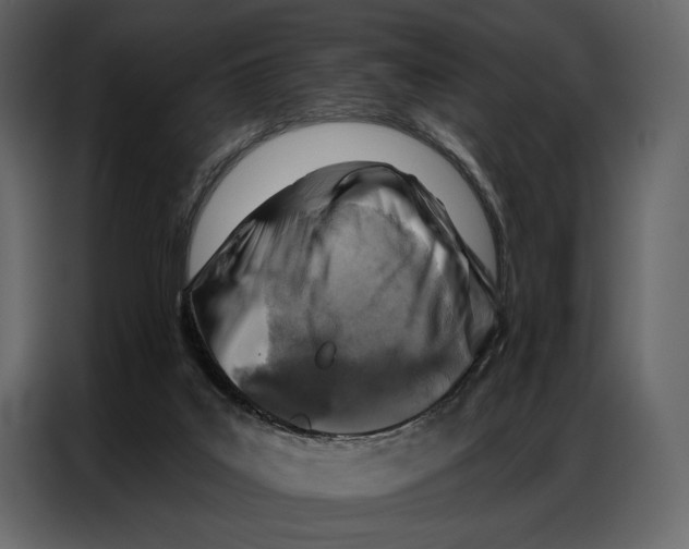 X0000086880019200705071211