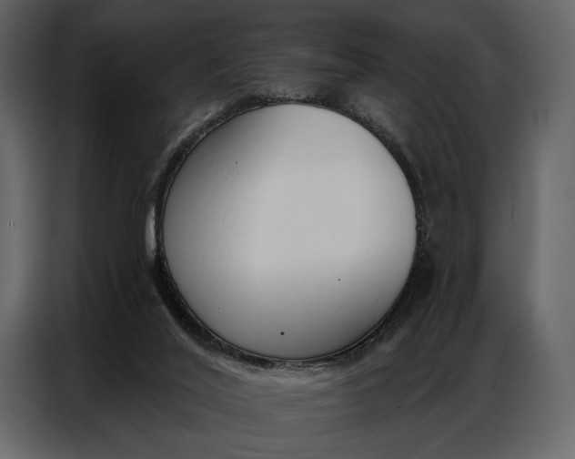 X0000086880020200705071211