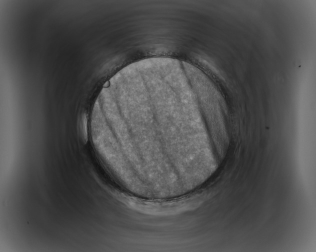 X0000086880022200705071211