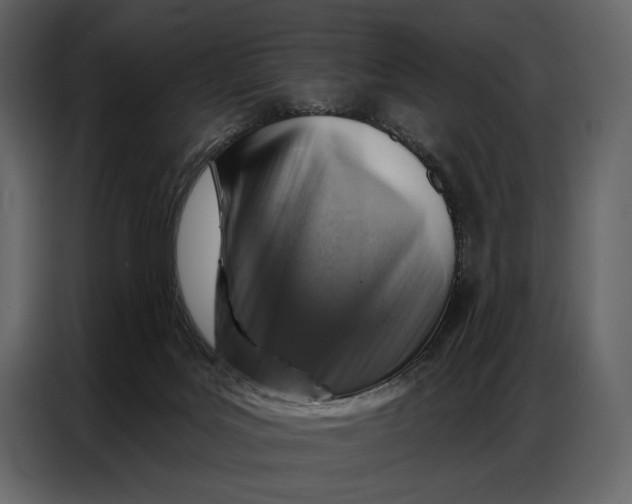 X0000086880027200705071211