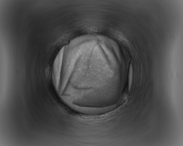 X0000086880029200705071211