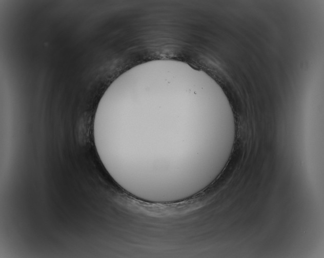 X0000086880030200705071211